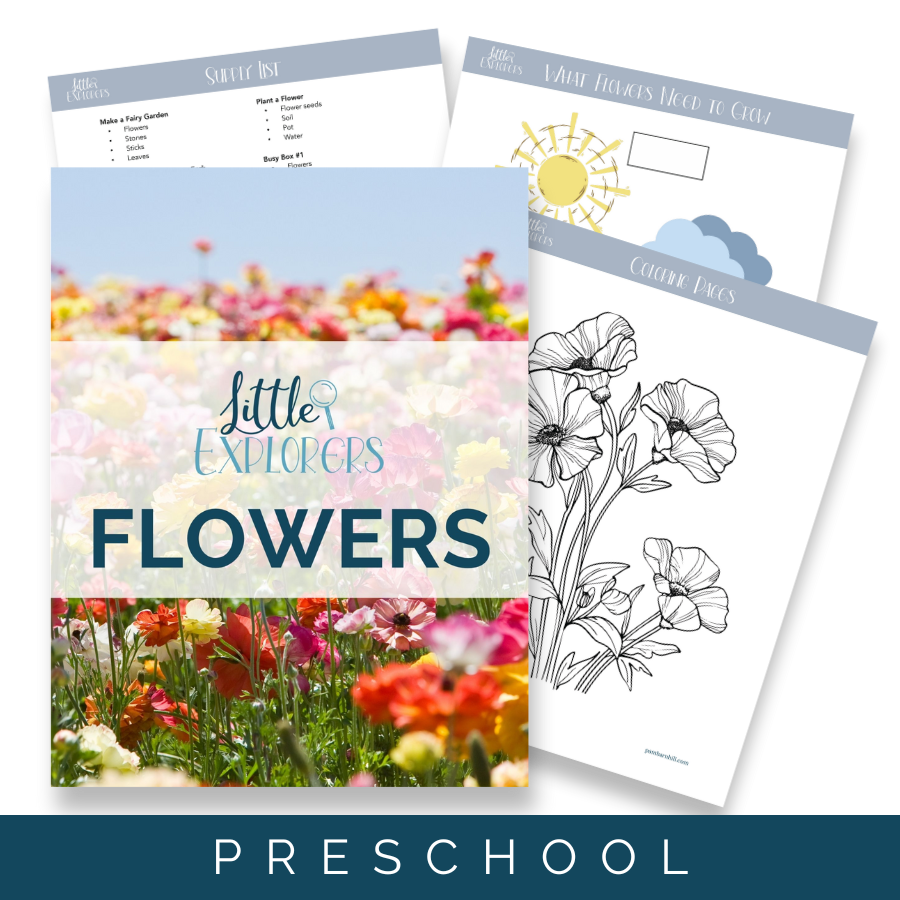 Flowers Little Explorers - Homeschool Better Together