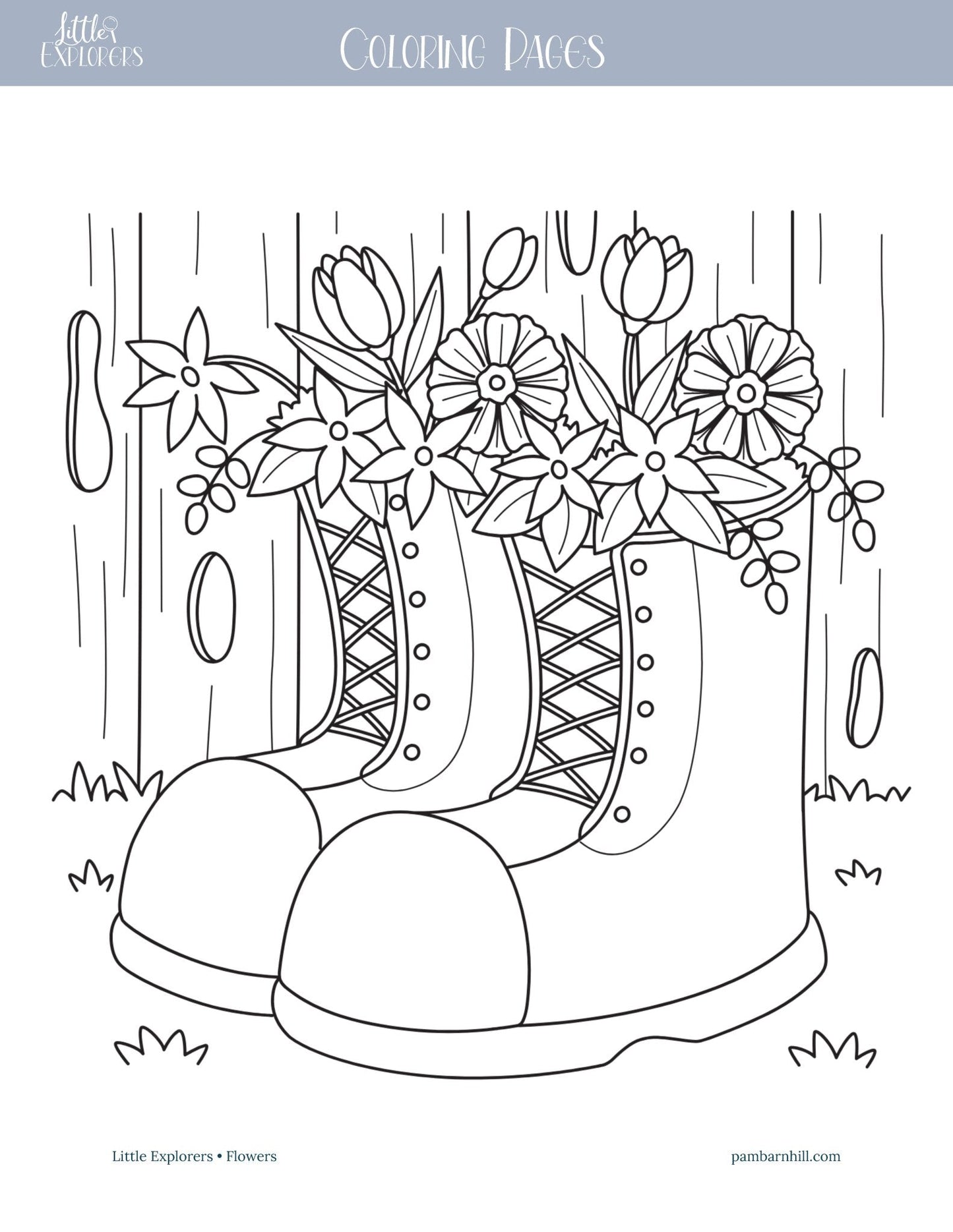 Flowers Little Explorers - Homeschool Better Together