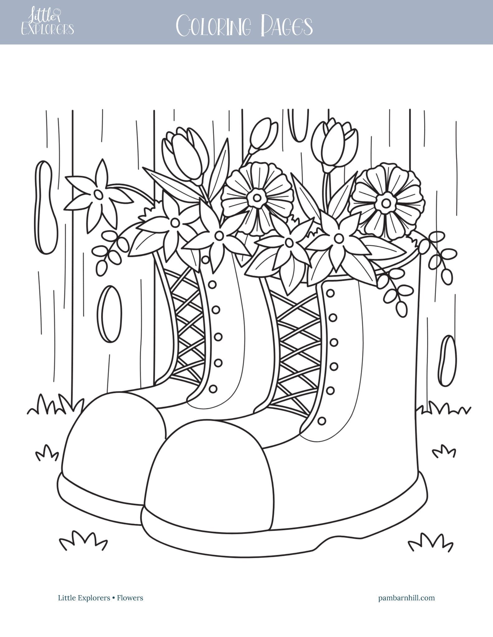 Flowers Little Explorers - Homeschool Better Together