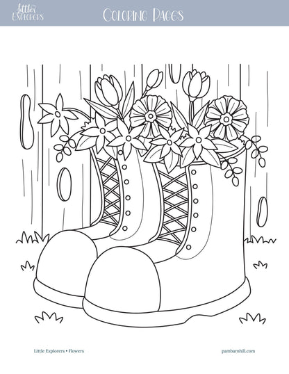 Flowers Little Explorers - Homeschool Better Together