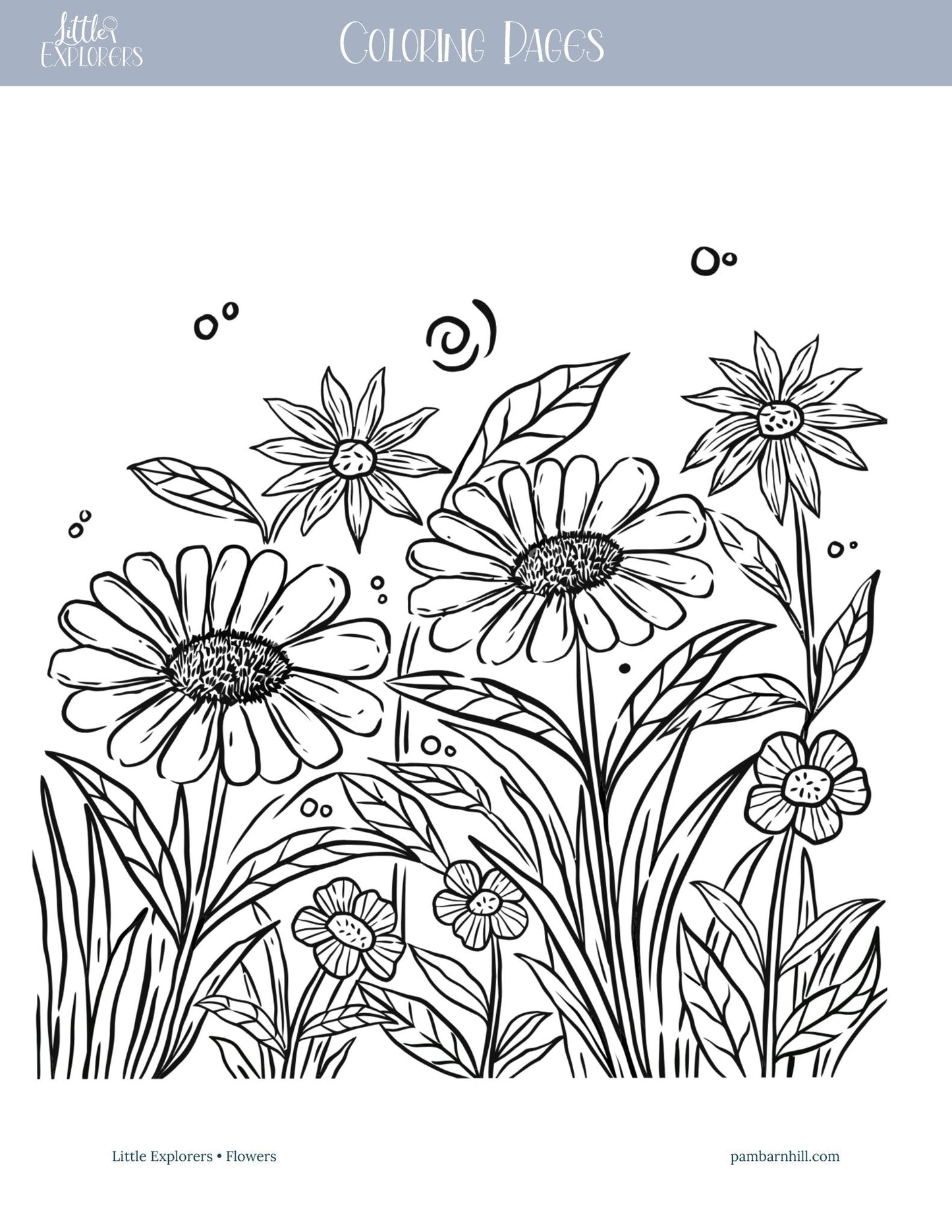 Flowers Little Explorers - Homeschool Better Together