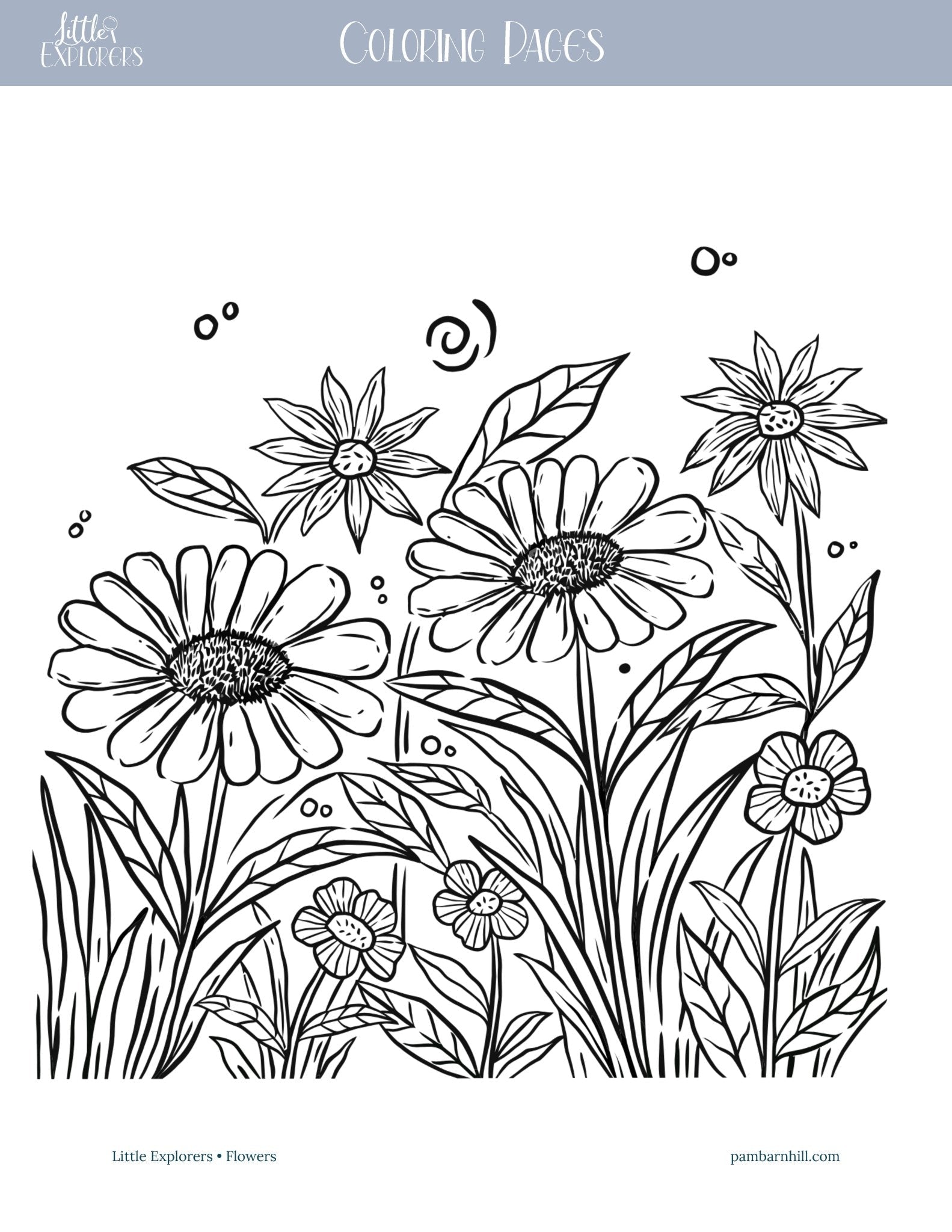 Flowers Little Explorers - Homeschool Better Together