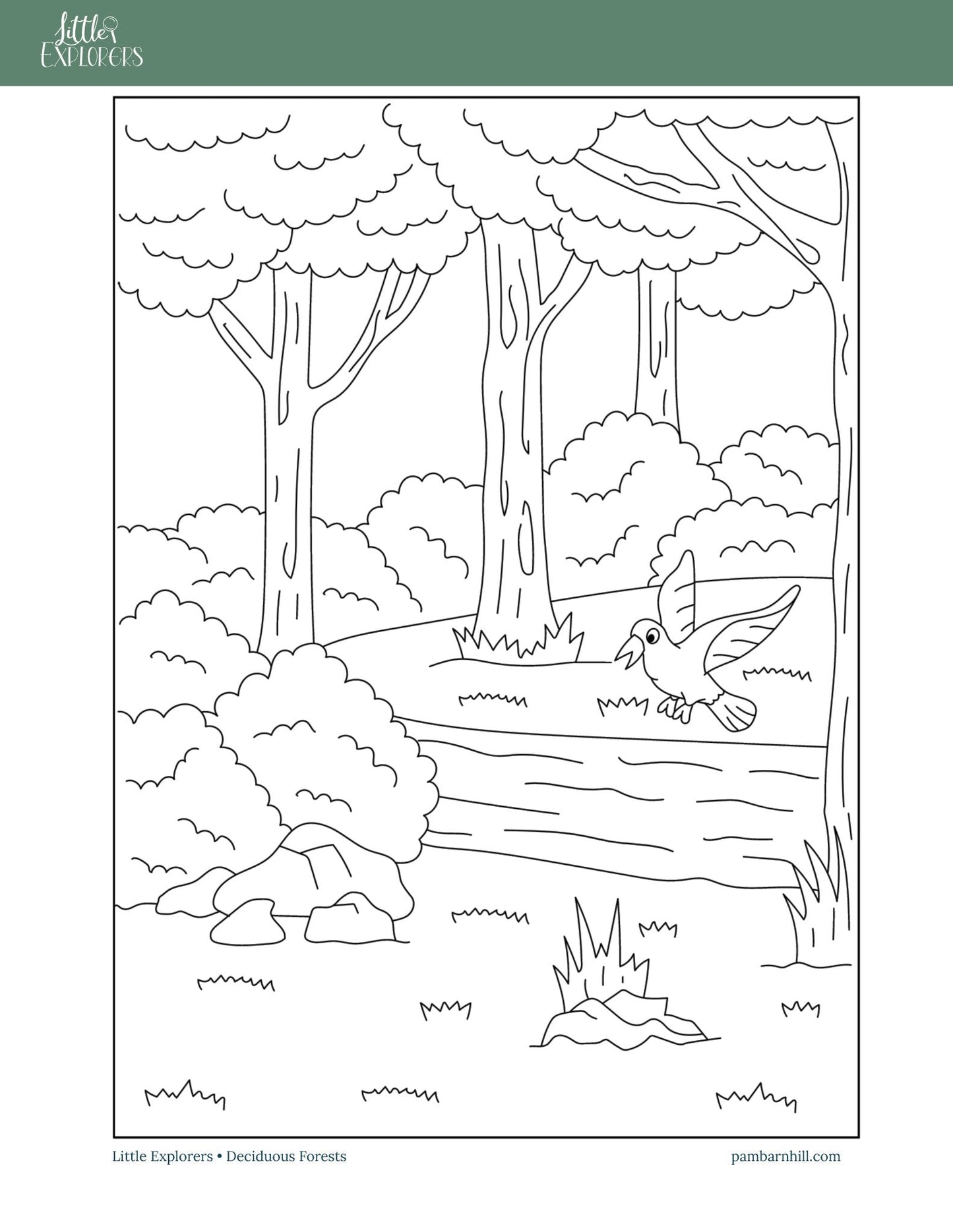 Forest Little Explorers - Homeschool Better Together