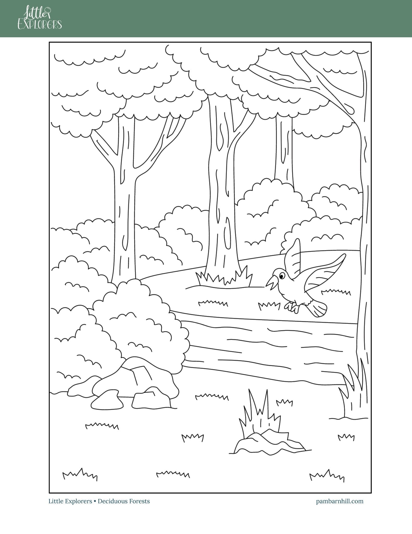 Forest Little Explorers - Homeschool Better Together