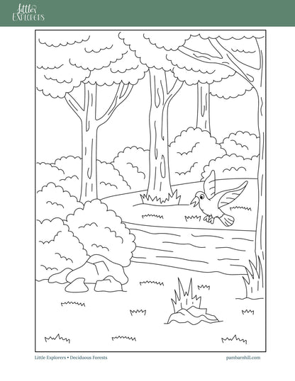Forest Little Explorers - Homeschool Better Together