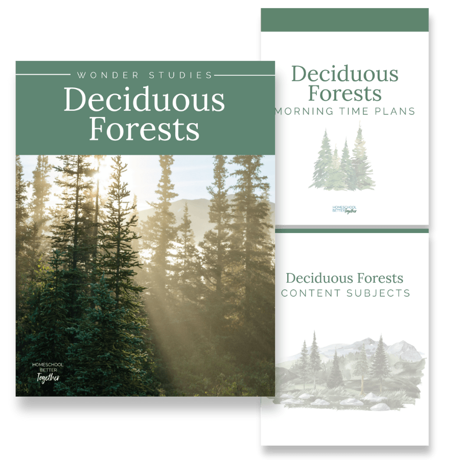 Forest Wonder Studies - Homeschool Better Together