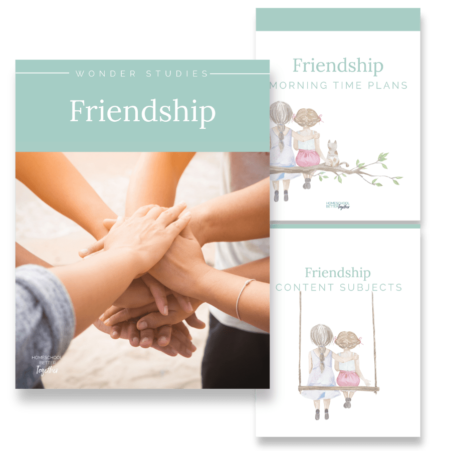 Friendship Wonder Study - Homeschool Better Together