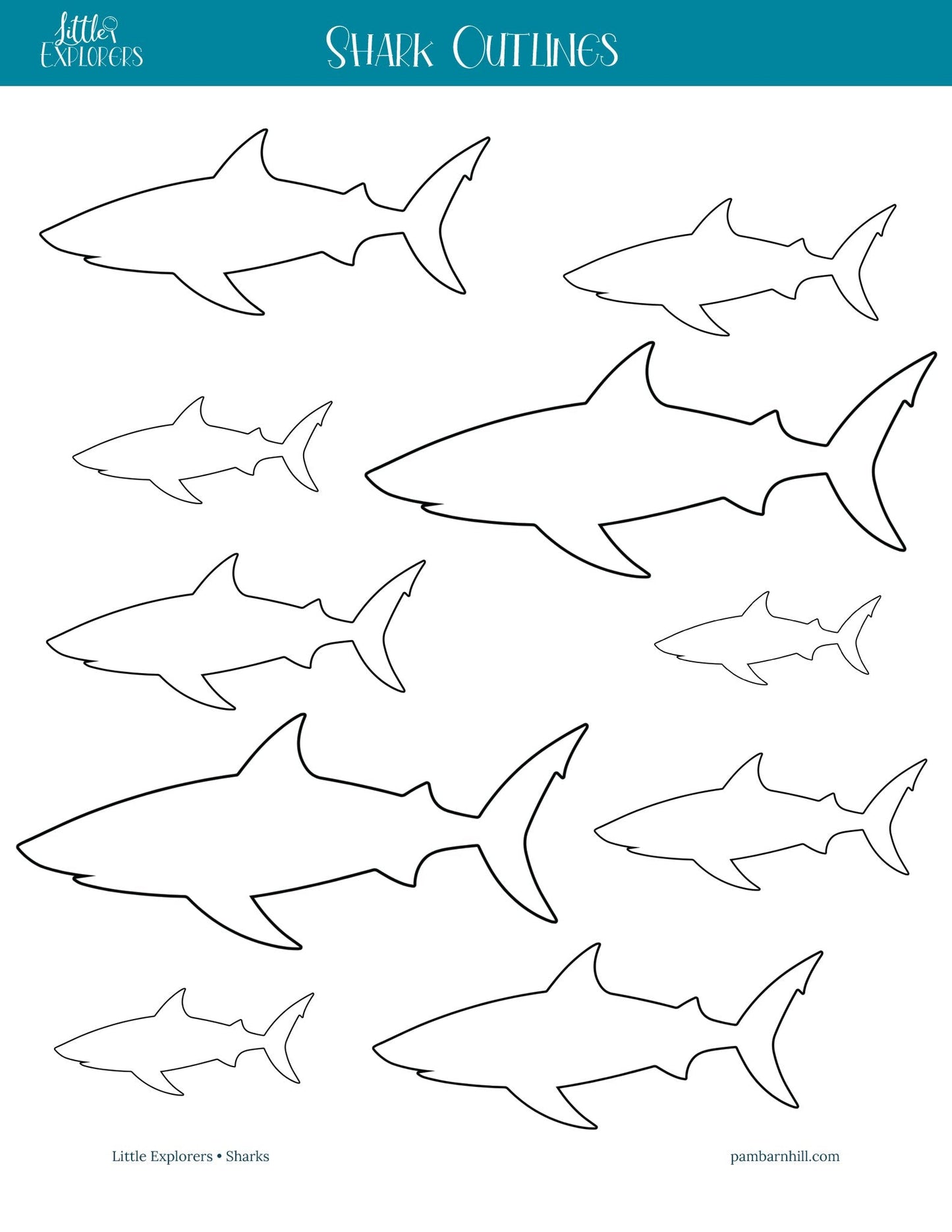 Sharks Little Explorers - Homeschool Better Together