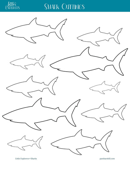 Sharks Little Explorers - Homeschool Better Together