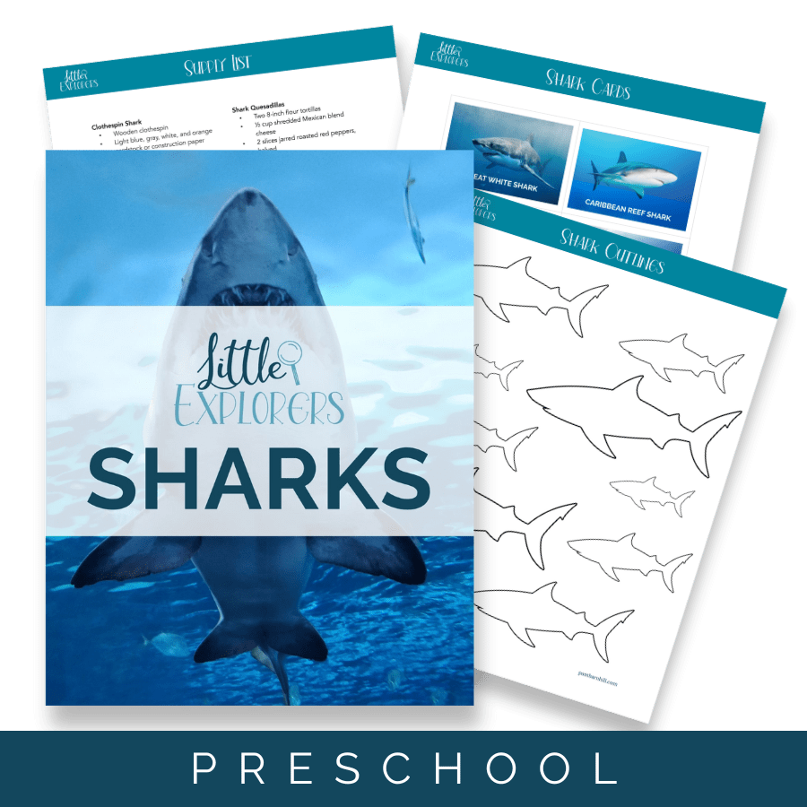 Sharks Little Explorers - Homeschool Better Together