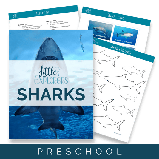 Sharks Little Explorers - Homeschool Better Together