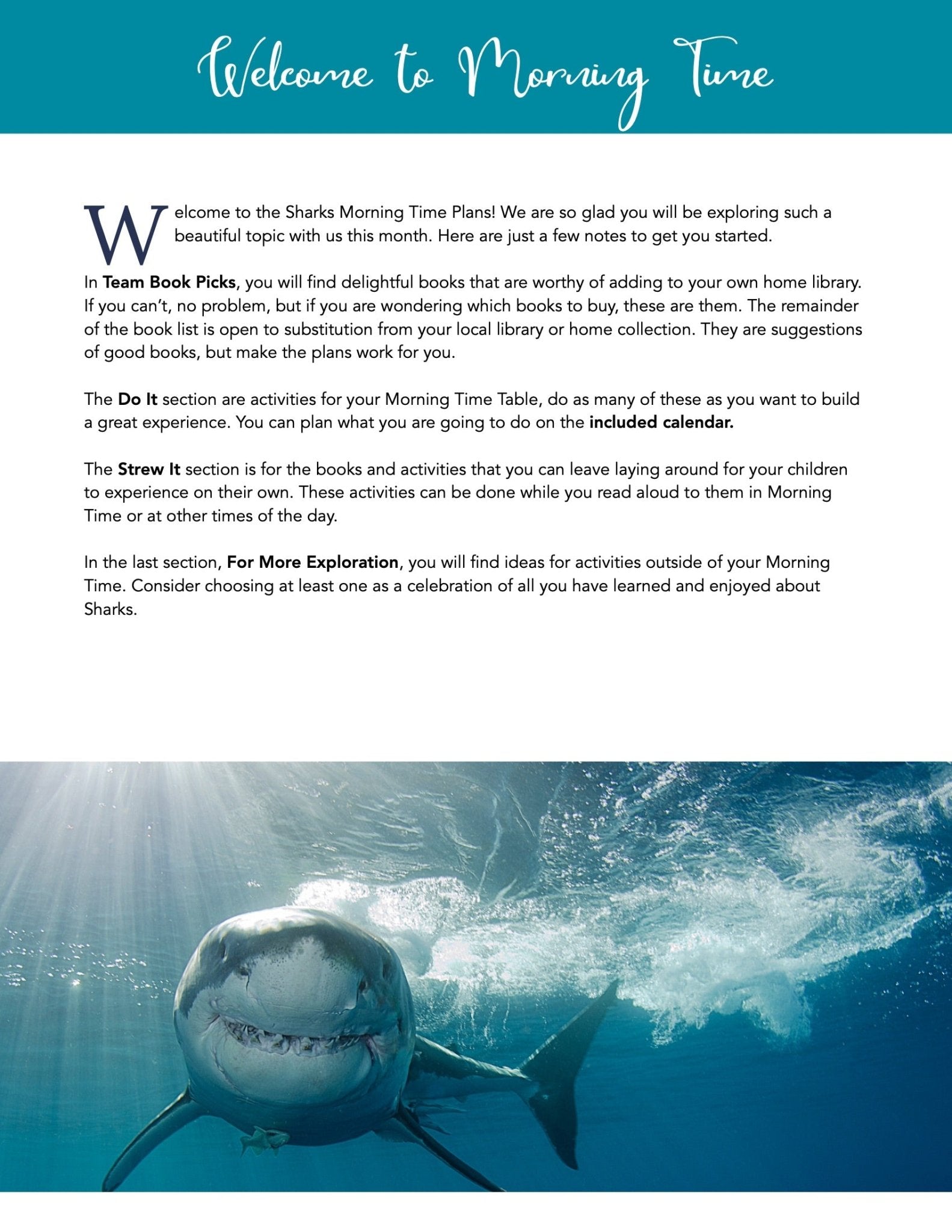 Sharks Wonder Studies - Homeschool Better Together