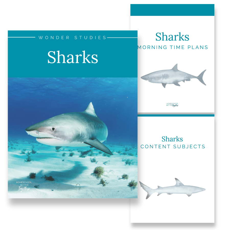 Sharks Wonder Studies - Homeschool Better Together