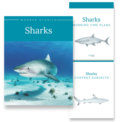 Sharks Wonder Studies - Homeschool Better Together