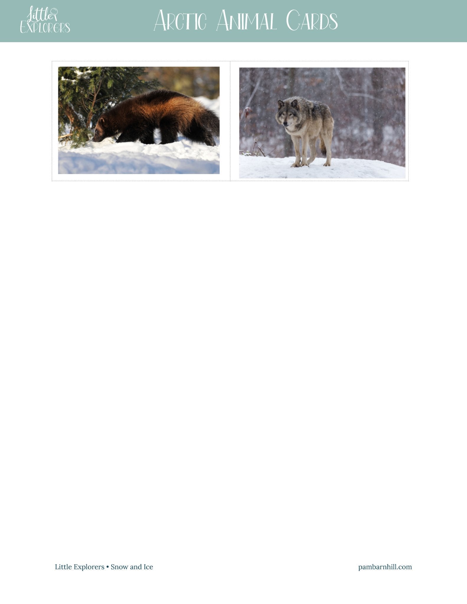 Snow & Ice Little Explorers - Homeschool Better Together