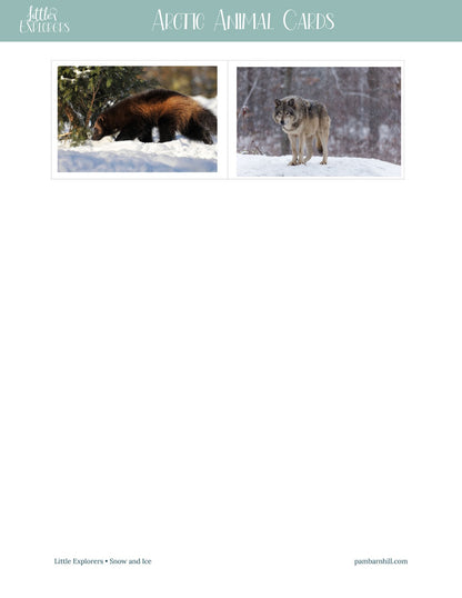 Snow & Ice Little Explorers - Homeschool Better Together
