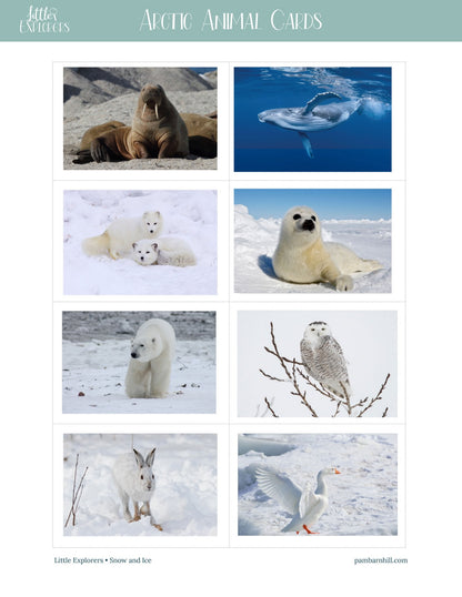 Snow & Ice Little Explorers - Homeschool Better Together