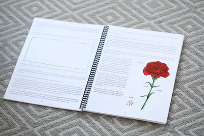 The Beatitudes Unit Study - Homeschool Better Together