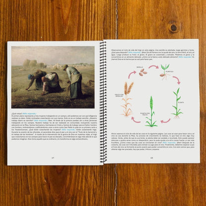 Unidad de Estudio La Misa (The Mass Study in Spanish) {DIGITAL DOWNLOAD} - Homeschool Better Together