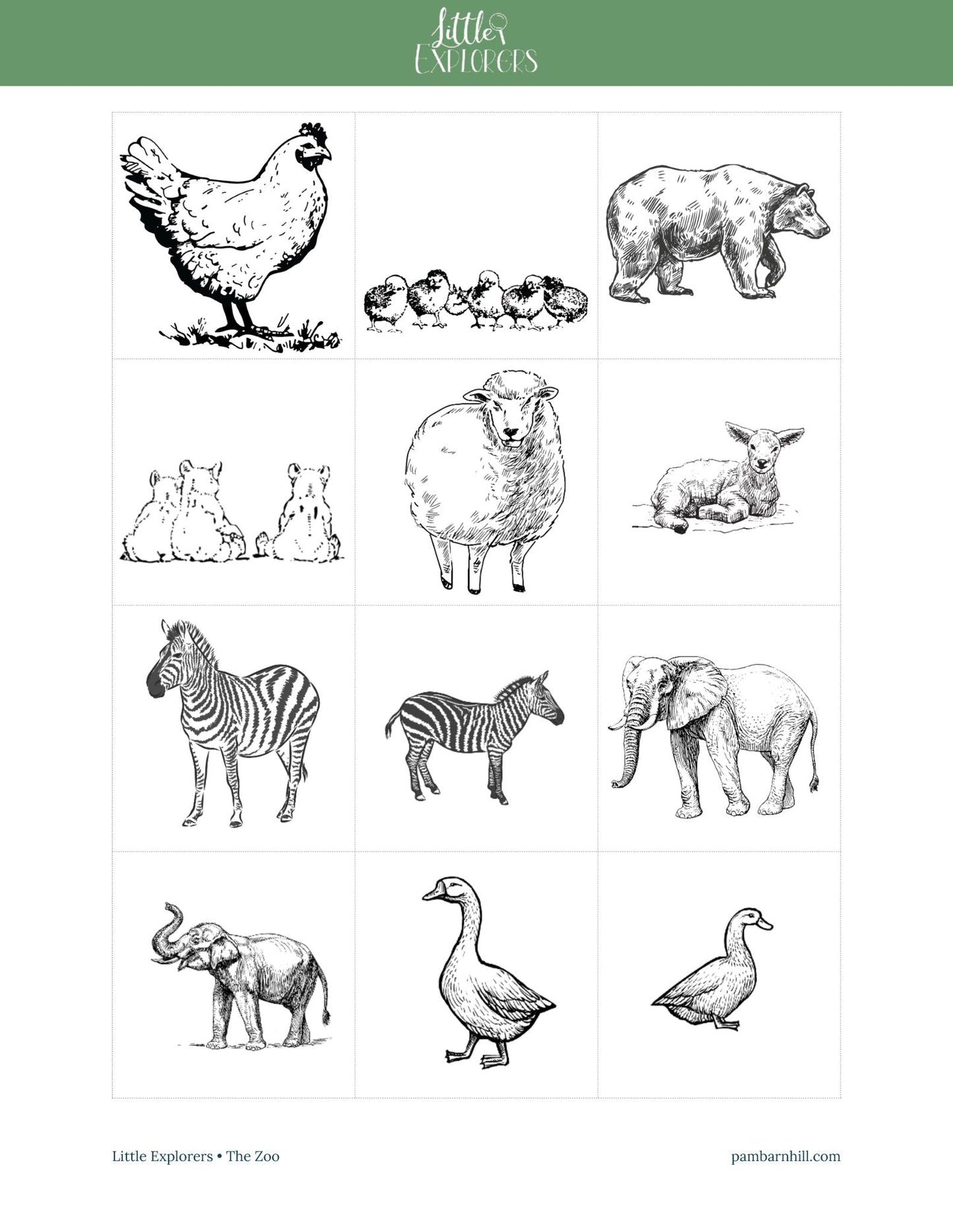 Zoo Little Explorers - Homeschool Better Together