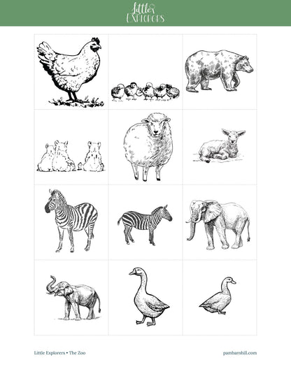 Zoo Little Explorers - Homeschool Better Together